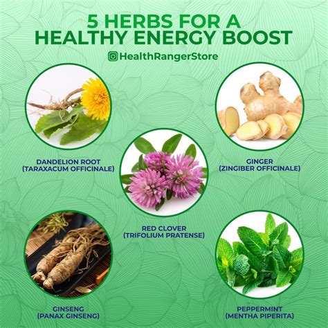 5 Herbs For A Healthy Energy Boost Video Herbs For Energy Healthy