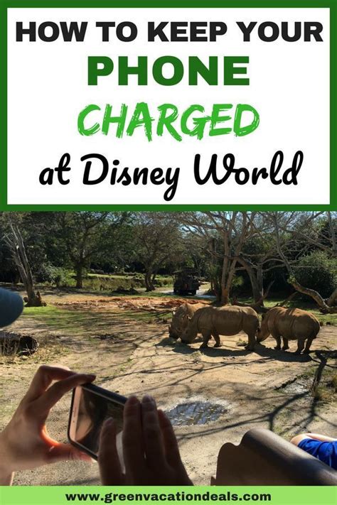 How To Keep Your Phone Charged At Disney World Disney