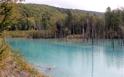 Blue Pond Of Biei Everything Is Aussome