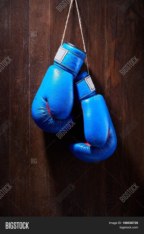 Two Blue Boxing Gloves Hanging Image And Photo Bigstock