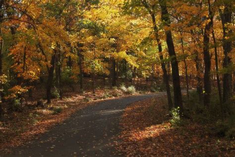 Enjoy Stunning Fall Foliage With One Of These 5 Autumn Hikes Near