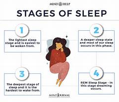 The 3 Step System To Reset Your Sleep Cycle For 8 Pm Cst Nights Personalized Plan