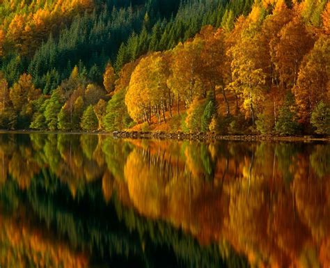 Trees With Fall Color Leaves And Reflection In Water