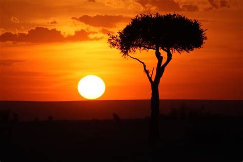 Sunset Masai Mara Kenya Familia