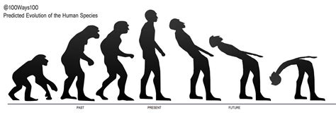 Predicted Evolution Of The Human Species Human Species Evolution Parody
