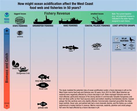 Ocean Acidification To Hit West Coast Dungeness Crab