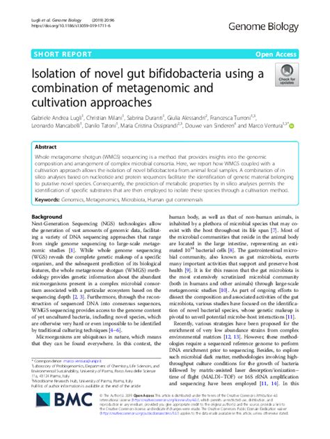 Pdf Isolation Of Novel Gut Bifidobacteria Using A Combination Of