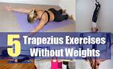 Photos of Trapezius Exercises Muscle
