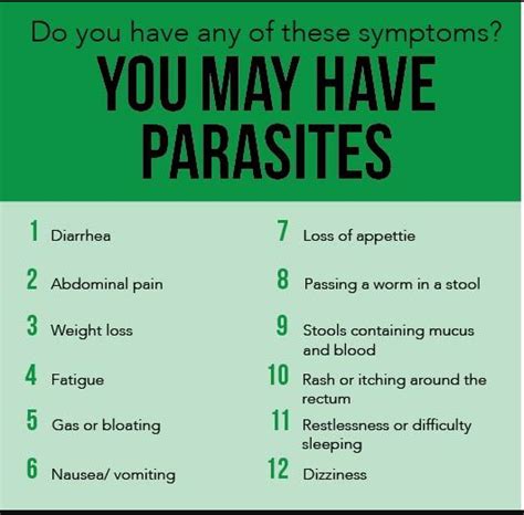 How To Get Rid Of Parasites Holistic Health