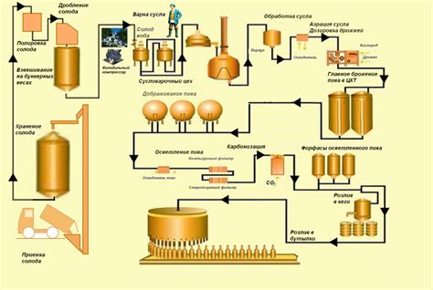 Сырье для производства пива: технология, процесс