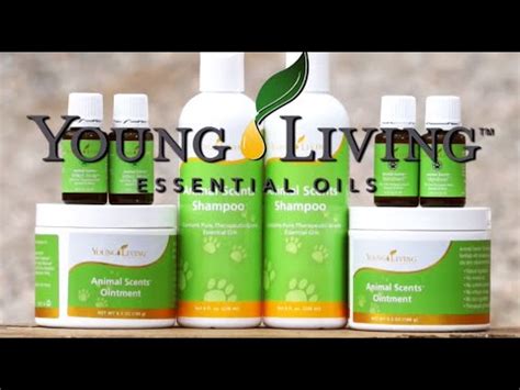 I love aligning with pet parents and rescue groups to educate on safe handling aligning withyoung living essential oils guaranties you the highest quality. Young Living Animal Scents Products - YouTube