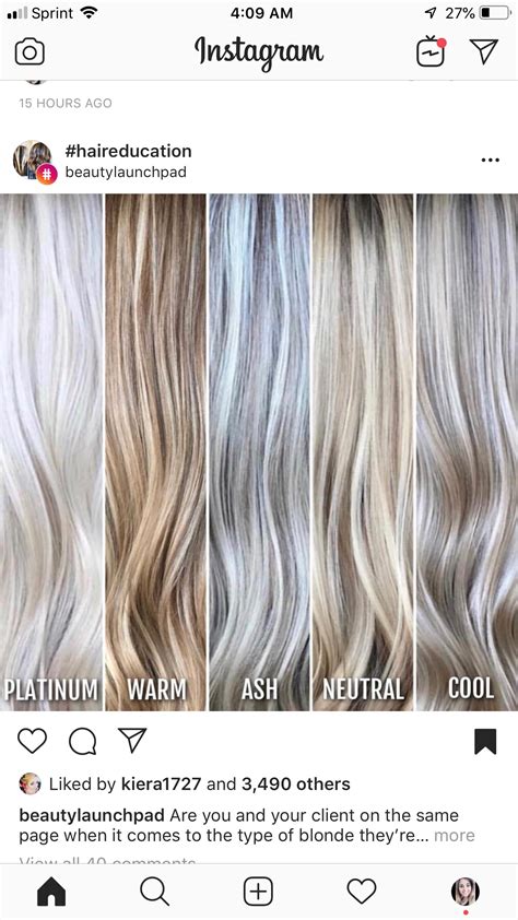 Different Tones Of Blondes Blonde Hair Shades Grey Blonde Hair Hair