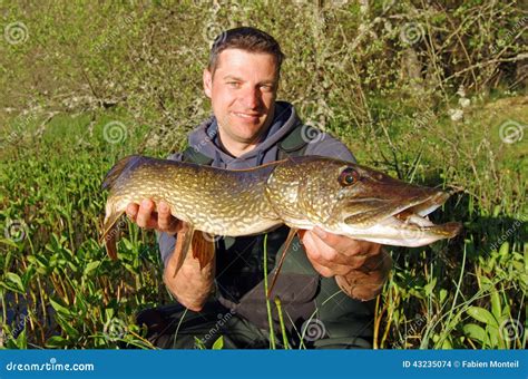 Lure Fishing Big Pike Stock Photo Image Of European 43235074