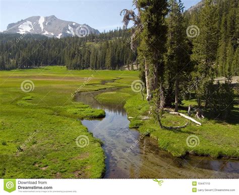 Peaceful Stream In Lassen National Park Stock Photo