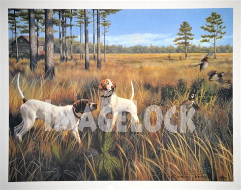 Pointer Hunting Dog Print