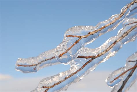 Freezing Rain To End Transition To Snow