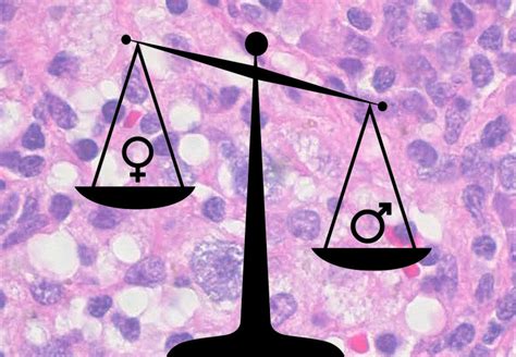 Sex Is Important Balancing Gender Differences In Preclinical Research
