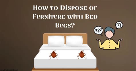 How To Dispose Of Furniture With Bed Bugs Trash Wizard