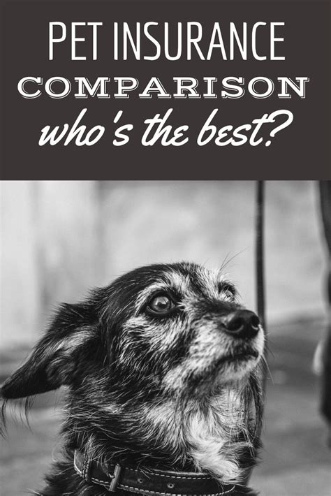 View all plans at once or pick 2 to compare. Pet Insurance Reviews 2020: Cost & Coverage Comparisons ...
