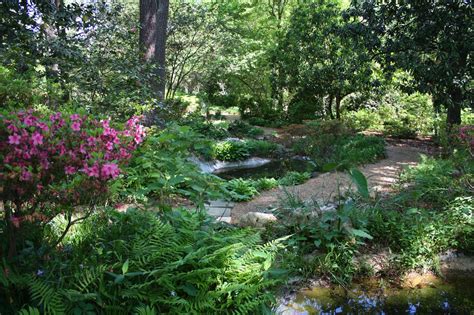 Southern Lagniappe: Garden Sanctuary