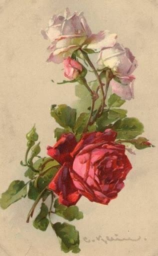 84 Best Vintage Roses Images On Pinterest Vintage Flowers Flowers