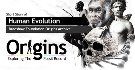 Human Origins Short Story Of Human Evolution