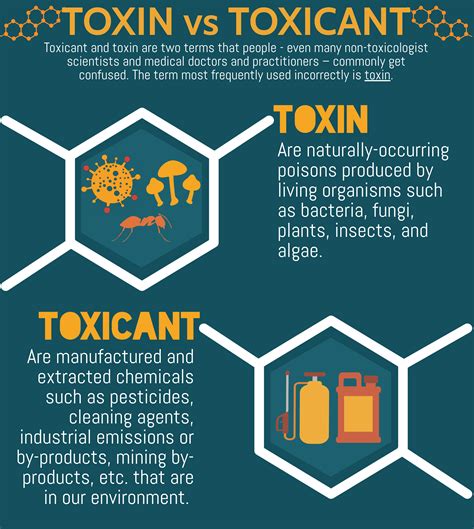 Toxins And Toxicants How Much Is Too Much Dirt To Dinner