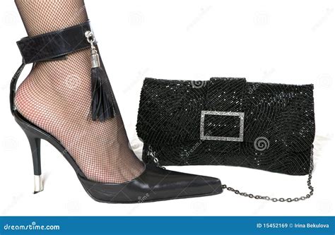 Ladies Shoe And Handbag Stock Image Image Of Background 15452169