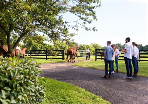 Kentucky Horse Barns