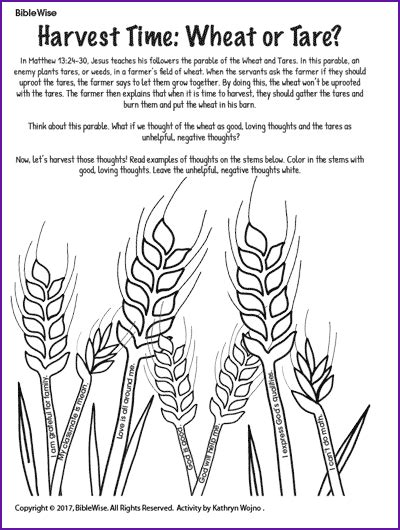 Harvest Time Wheat Or Tare Kids Korner Biblewise