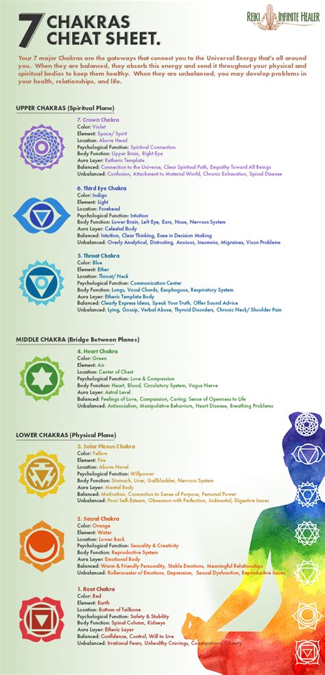 【ベストコレクション】 The 7 Chakras Meaning And Functions 742700 What Are The Seven Chakras And What Do