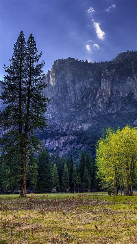 Yosemite National Park Landscape Backiee