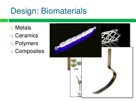 Anatomy And Physiology Lecture Notes Biomedical Design Biomaterials A