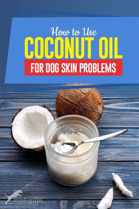 How To Use Coconut Oil For Dog Skin Problems Based On Studies Dog