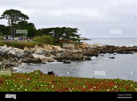 coast, Lovers Point, State Marine Reserve, Monterey Bay National Marine