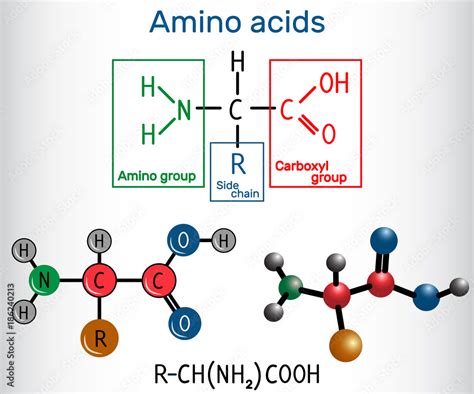 General Formula Of Amino Acids Which Are Building Blocks Of Proteins