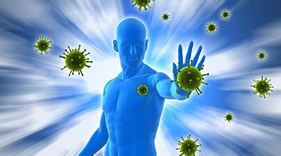 Chiropractic And The Immune System