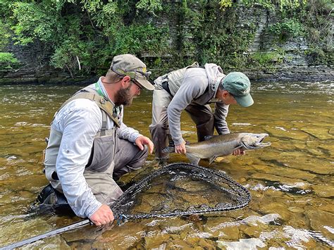 Fly Fishing The Salmon River For King Salmon Part 1 When To Go