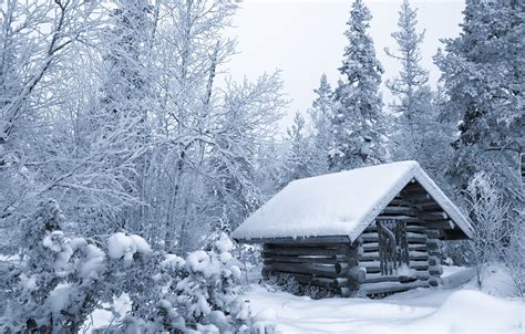 Wallpaper Winter Forest Snow Trees Hut Hut Finland Images For