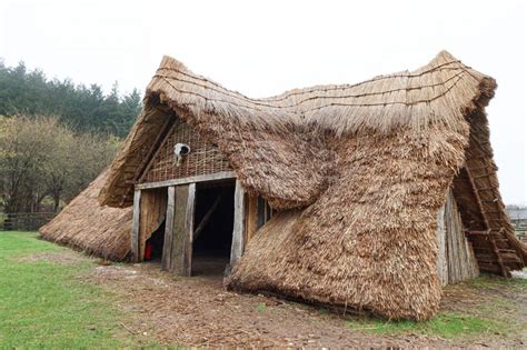 Stunning Stone Age House Unveiled At Butser Ancient Farm Petersfield