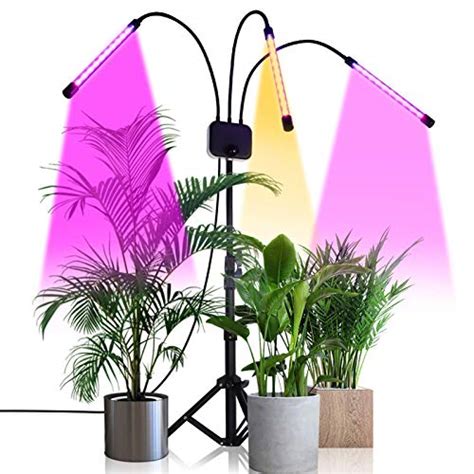 Maybe you would like to learn more about one of these? Top 10 Free Standing Grow Lights for Indoor Plants - Plant ...