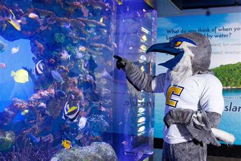 Tennessee Aquarium Offers College Days Discount Throughout February