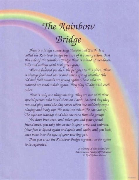 One is a prose poem whose original creator is uncertain. Rainbow bridge | Rainbow bridge dog, Rainbow bridge poem ...