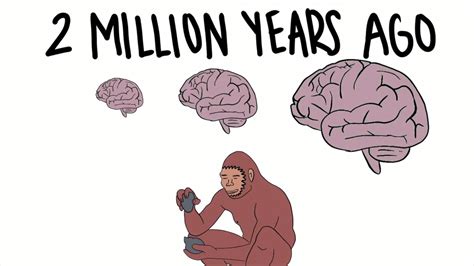 The Evolution Of The Human Brain Youtube