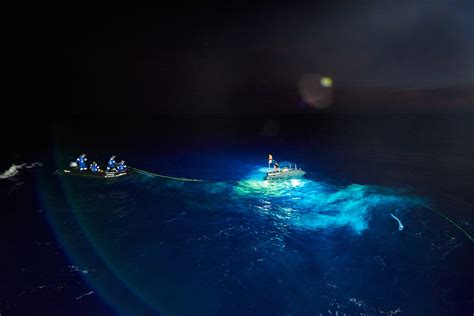 Expedition Team Makes Record Breaking Dive To Bottom Of Mariana Trench