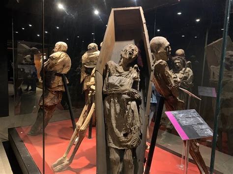 Museo De Las Momias De Guanajuato 2020 Qué Saber Antes De Ir Lo Más