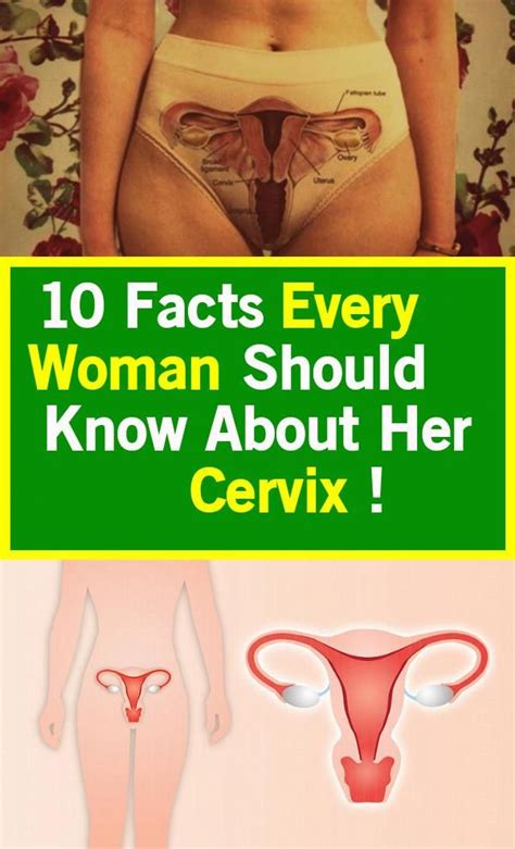 Facts Every Woman Should Know About Her Cervix