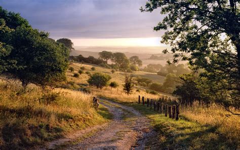 Country Lane In Chiltern Hills At Dawn Hertfordshirebuckinghamshire