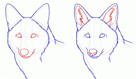 How To Draw Wolf Ears