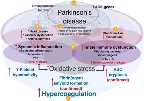 Parkinsons Disease Diagram